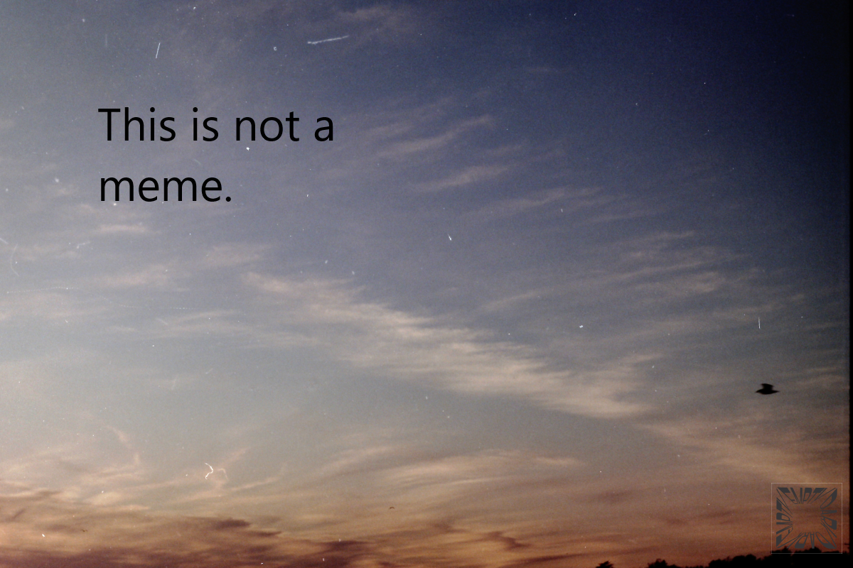 This Is Not A Meme