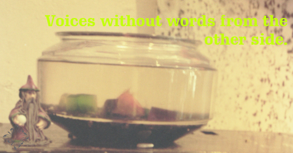 Voices Without Words