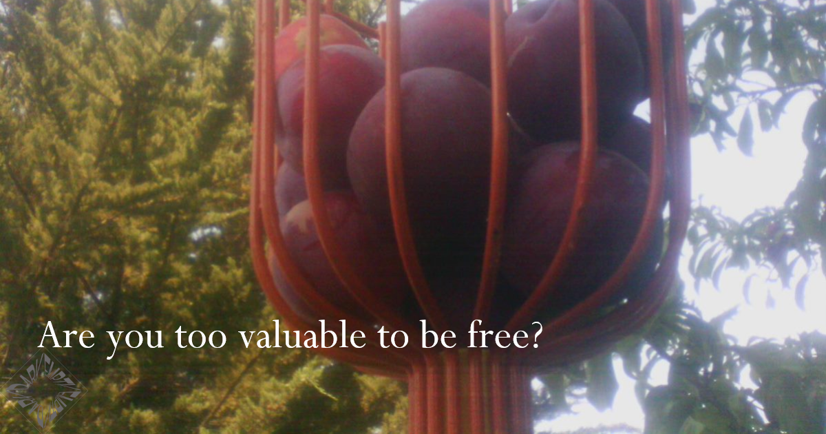 Too Valuable To Be Free