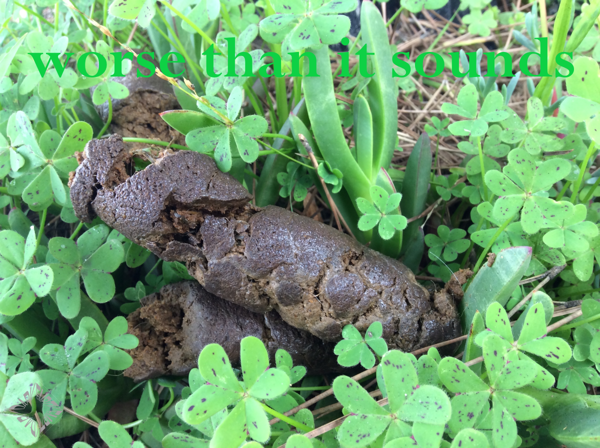 Worse Than It Sounds