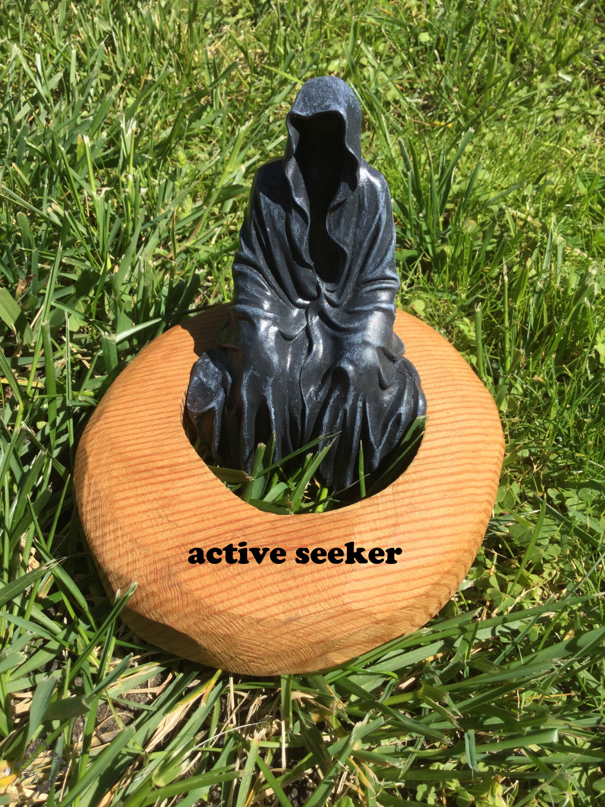 Active Seeker