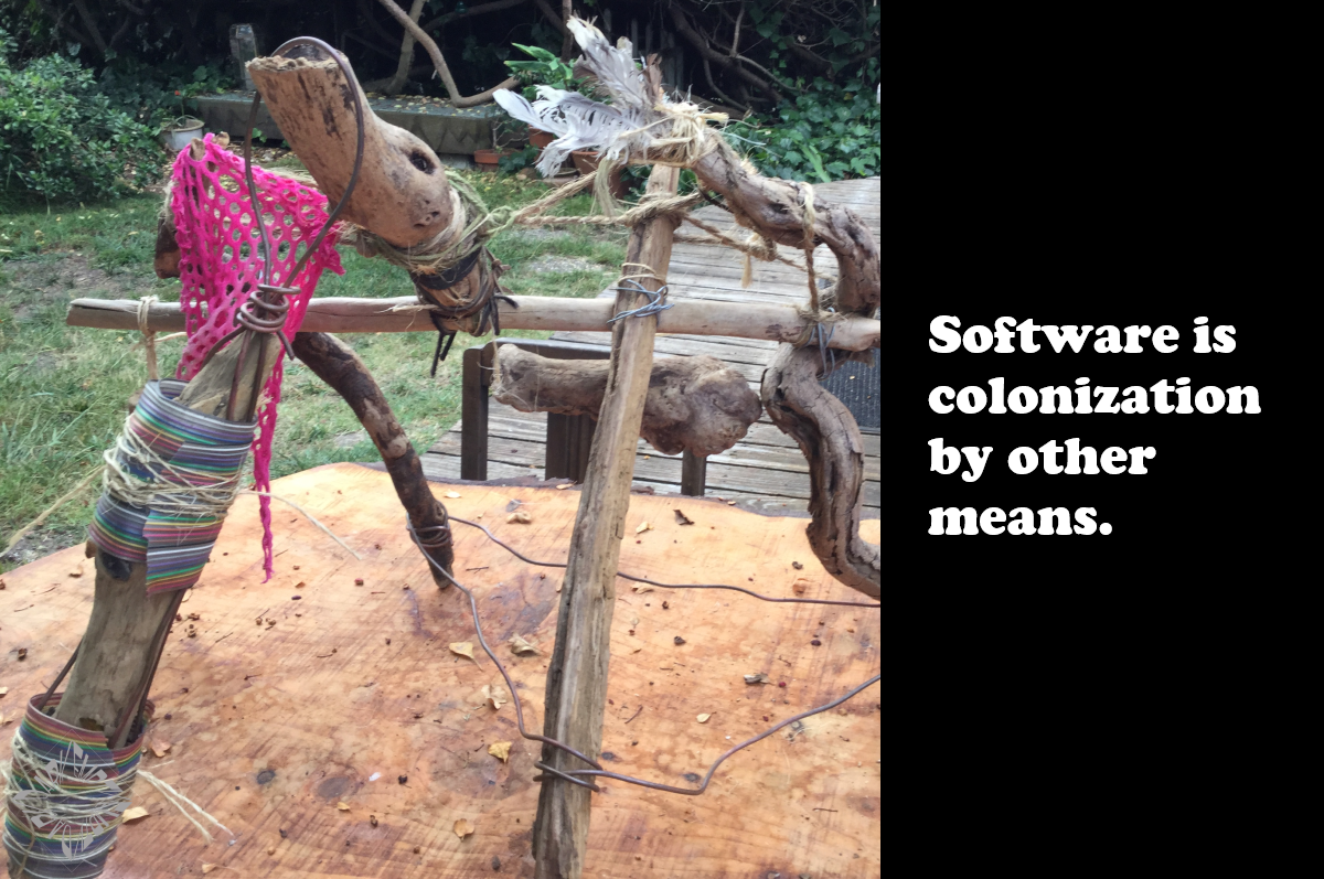 Software is Colonization