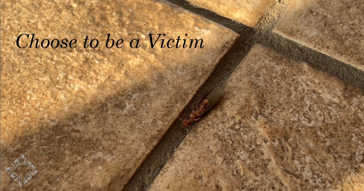 Choose to be a Victim