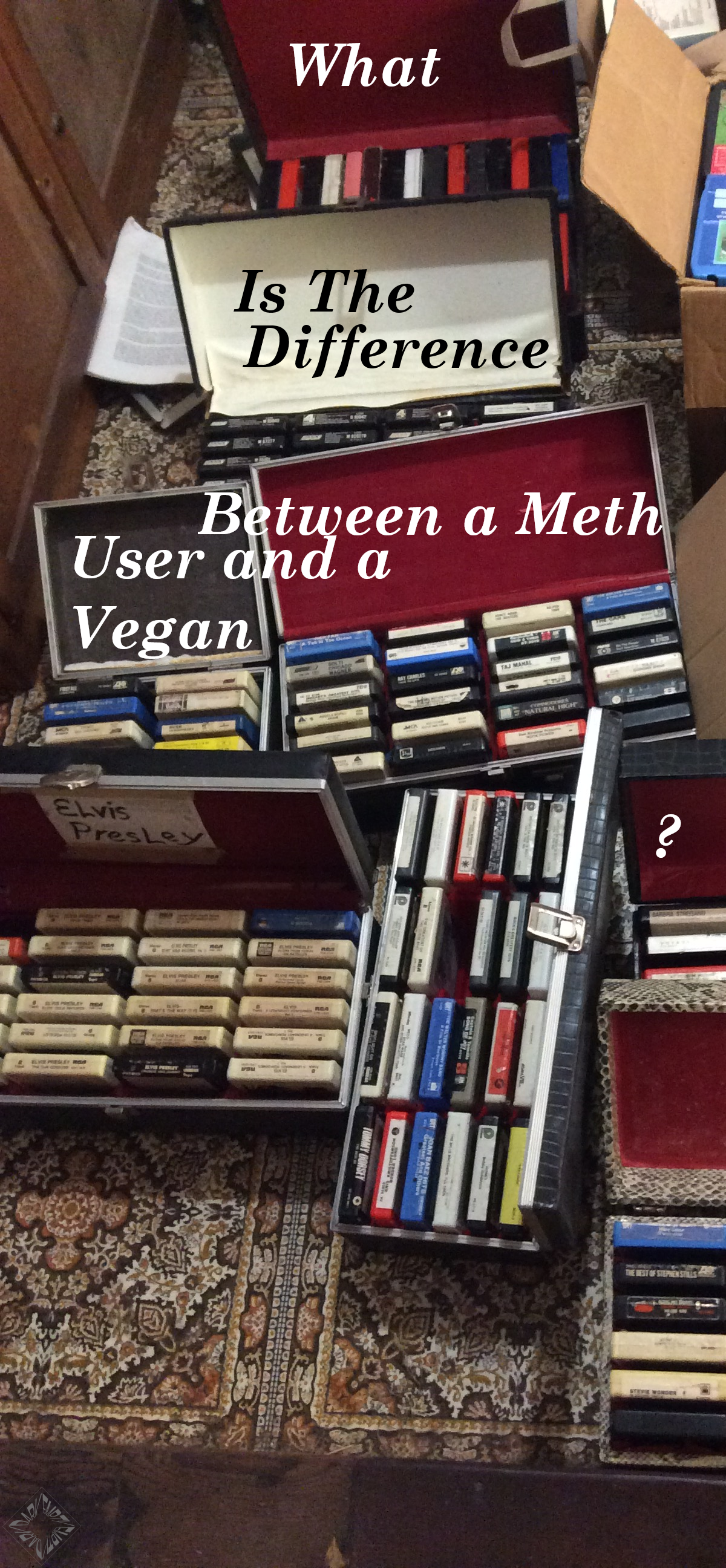 Vegan Meth User